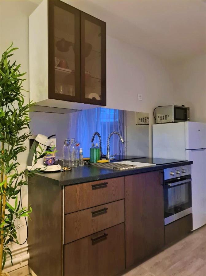 Grand Studio Lyon Villeurbanne Proche Metro - Wifi Ngoại thất bức ảnh